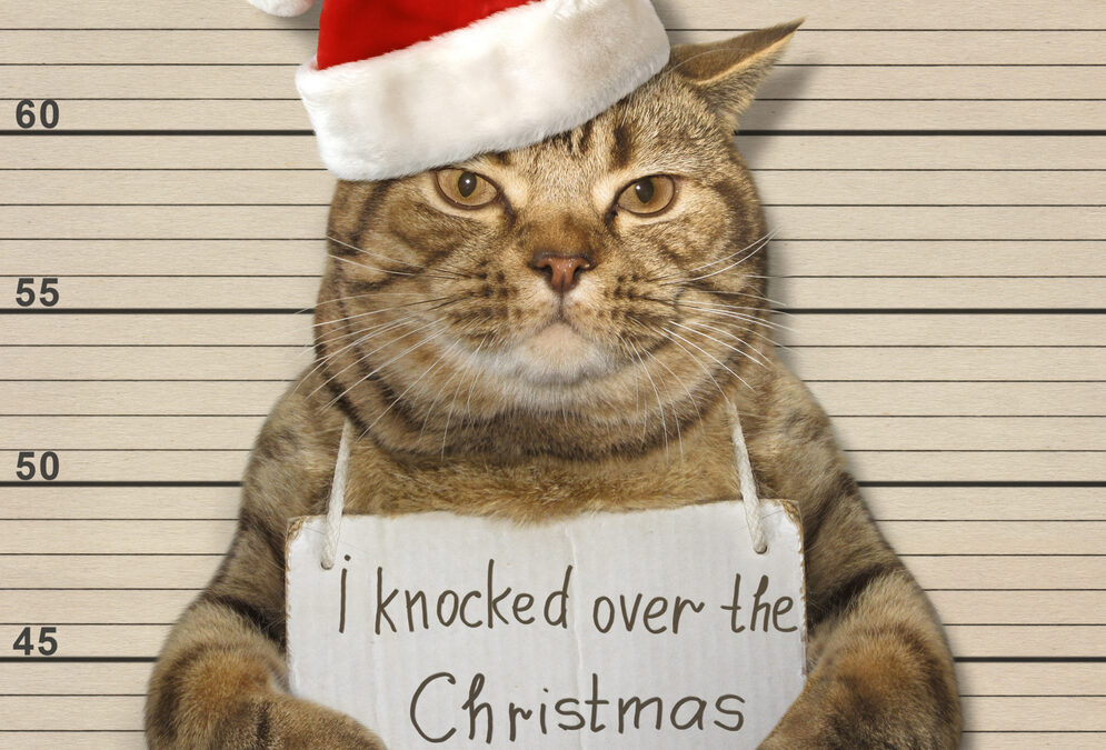 Content image for Reclaiming Your Adventure: Finding Joy When Plans Go Awry on the Road