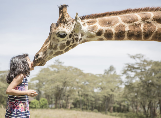 Featured image for Respectful Wildlife Adventure: Ensuring Safe and Ethical Animal Encounters