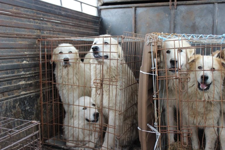 Featured image for Transportation Troubles at Foreign Destinations: Getting Around Can Be a Nightmare