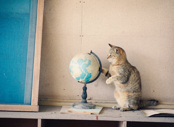 Content image for The Feeling of Being Ripped Off at Tourist-Focused Destinations