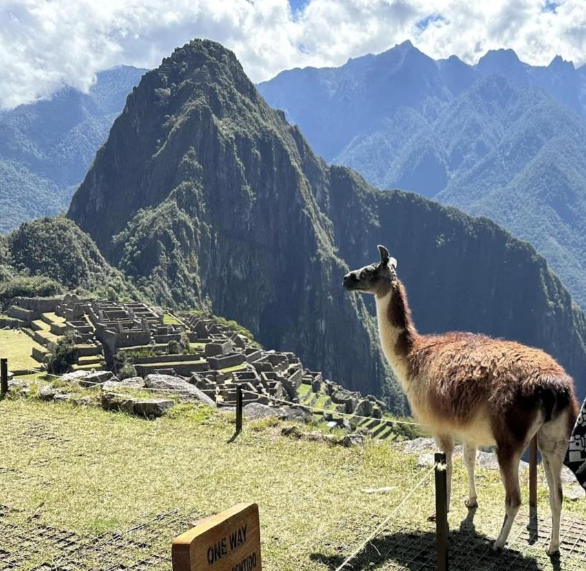 Content image for Dealing with Altitude Sickness at High-Altitude Destinations