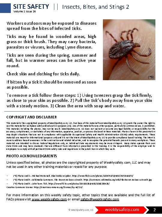 Content image for Annoying Outdoors Insects: Battling Bites, Stings, and Swarms Effectively