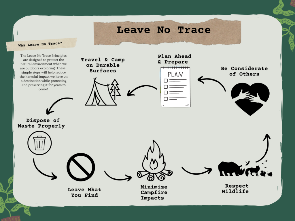 Featured image for Ethical Outdoors Dilemmas: Navigating Leave No Trace Principles Properly