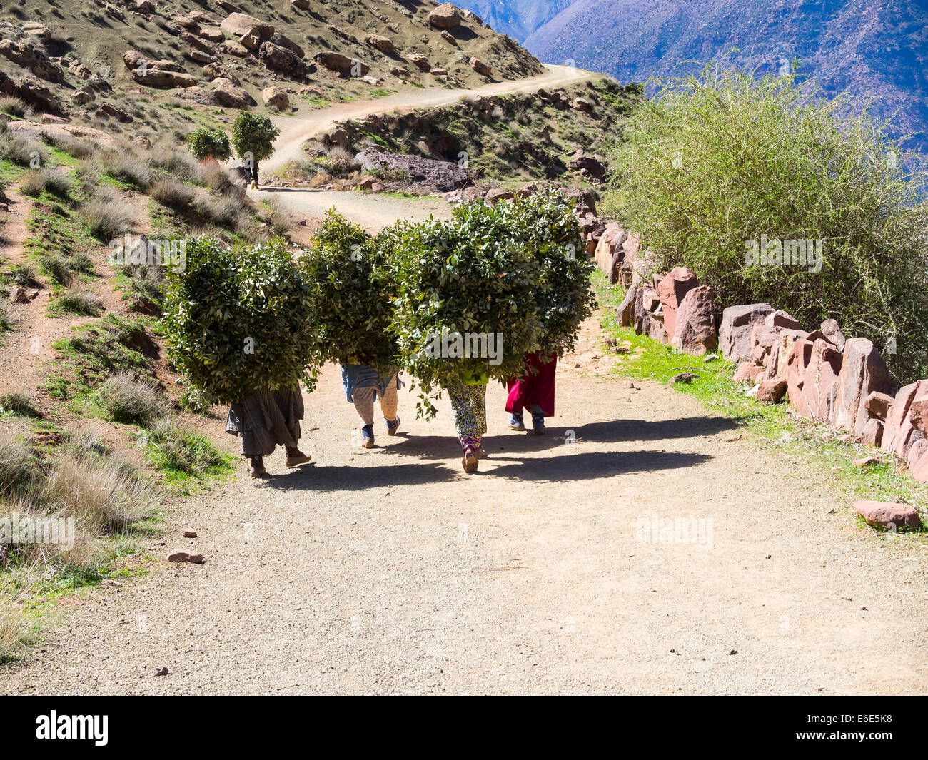 Featured image for The Challenge of Carrying Heavy Gear in the Outdoors for Long Distances