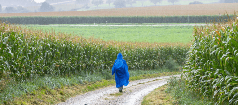 Content image for The Discomfort of Damp or Wet Gear in the Outdoors: Staying Dry