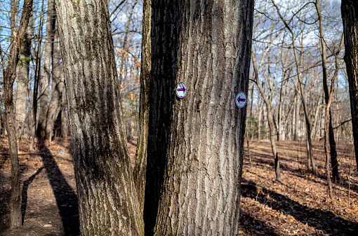 Content image for Navigating Confusing Trail Markers and Signage in the Outdoors