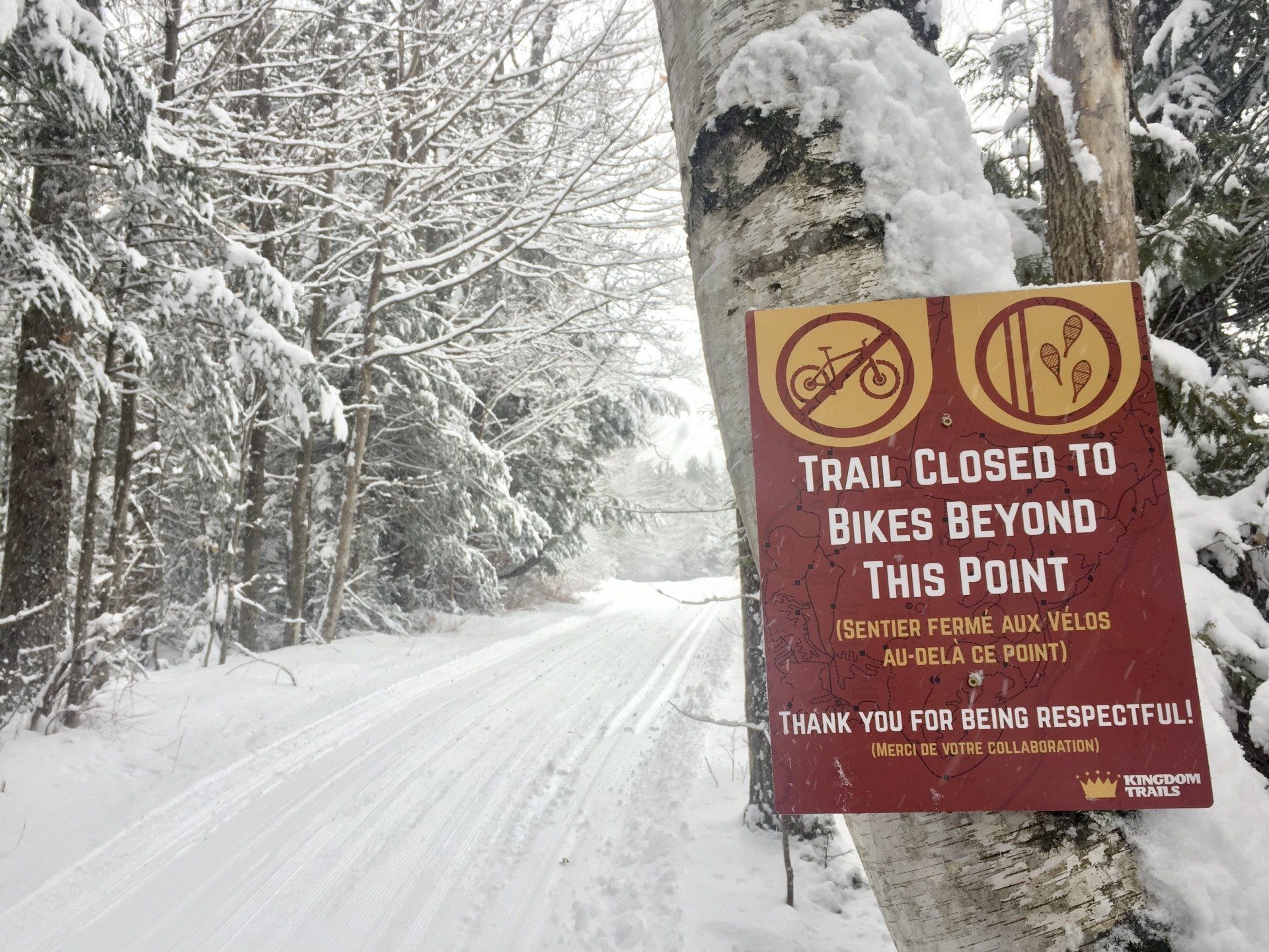 Featured image for Dealing with Unexpected Trail Closures Due to Weather or Hazards