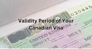 Content image for Visa Guides: Understanding the Validity Period of Your Visa and Travel Dates