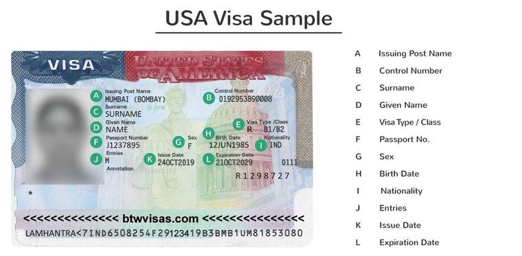 Content image for Visa Guides: Understanding the Requirements for Dependent Visas